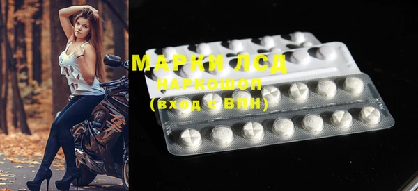 молекула духа Снежногорск