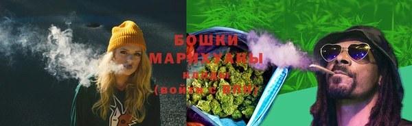 шишки Богородицк