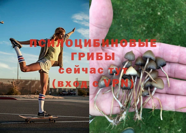 Альфа ПВП Армянск
