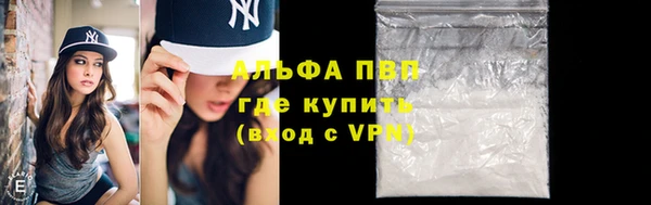 молекула духа Снежногорск