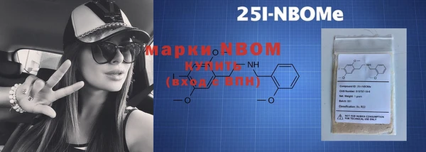 хмурый Арсеньев