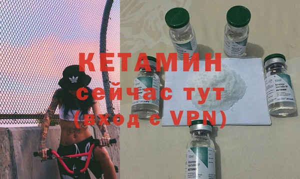 шишки Богородицк