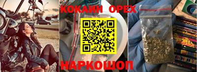 шишки Дубна