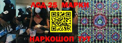 крисы Донской