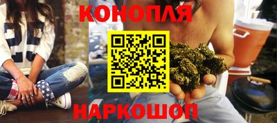шишки Дубна