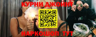 шишки Дубна
