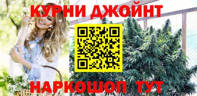 шишки Дубна