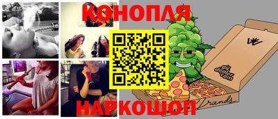 шишки Дубна
