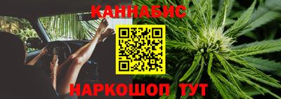 шишки Дубна
