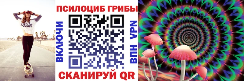 mega ССЫЛКА  Кубинка  Псилоцибиновые грибы Psilocybine cubensis 