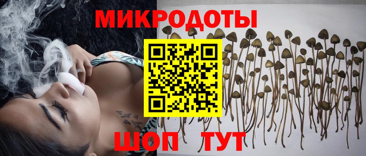 Псилоцибиновые грибы мухоморы Кубинка
