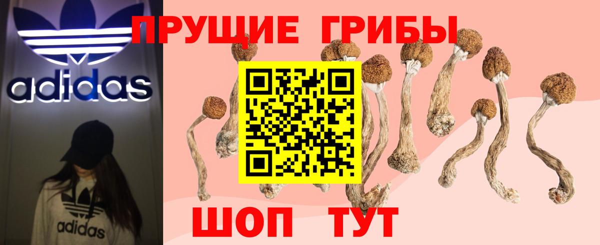Кубинка  где можно купить   Вход с VPN  Галлюциногенные грибы Cubensis 